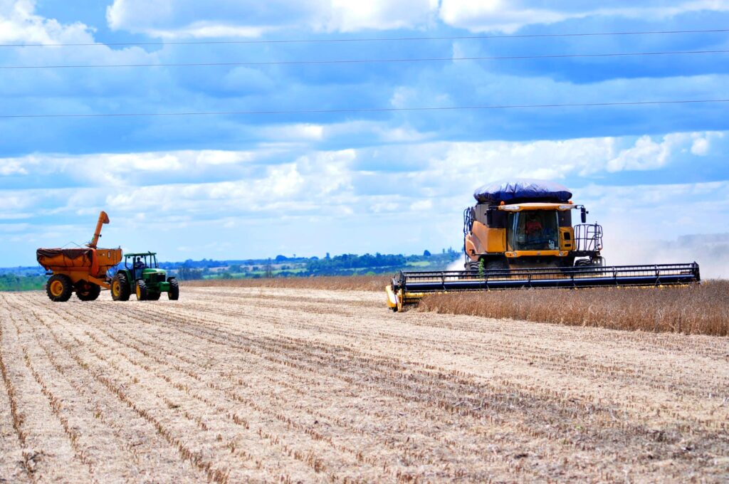 <em>Mato Grosso do Sul registra crescimento sólido na produção agrícola em 2023</em>