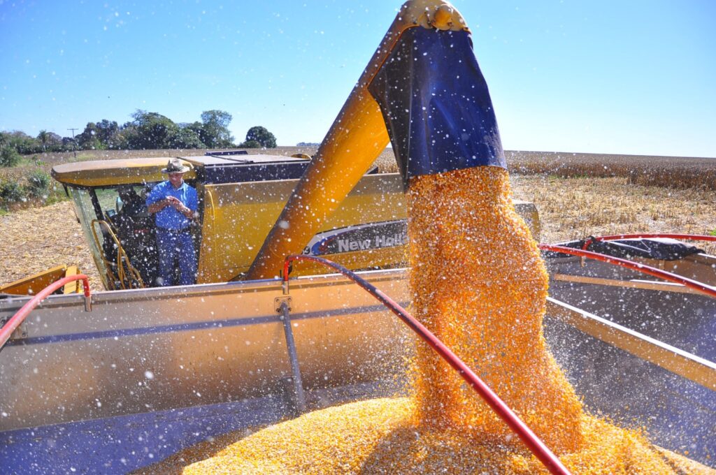 <em>Homenagem aos Heróis do Campo - Saudações aos Agricultores do Mato Grosso do Sul e do Brasil</em>