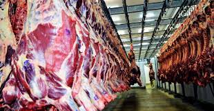 Carne brasileira tem aumento na produção (Foto: Divulgação)