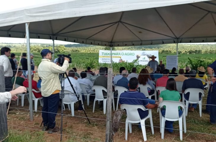 O governo está promovendo o crescimento da fruticultura com o objetivo de ampliar a variedade de produtos fabricados no Estado.