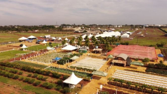 Parque de Exposições recebe até a quinta-feira a Tecnofam (Foto: Hallinno Soares/Embrapa).