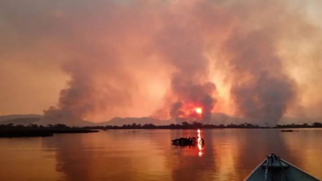 Pantanal em Mato Grosso do Sul. (Foto: Reinaldo Nogales/Ecoa via BBC).