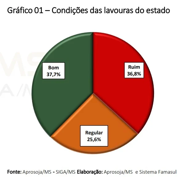 Aprosoja MS reporta que a colheita do milho no Mato Grosso do Sul alcançou 91%