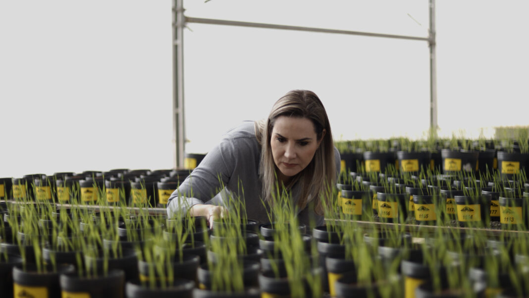 Andrea de Figueiredo Giroldo, Diretora de Marketing e Desenvolvimento da Agrocete Divulgação