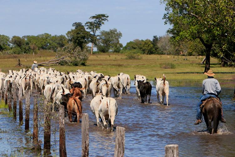 Foto: divulgação.