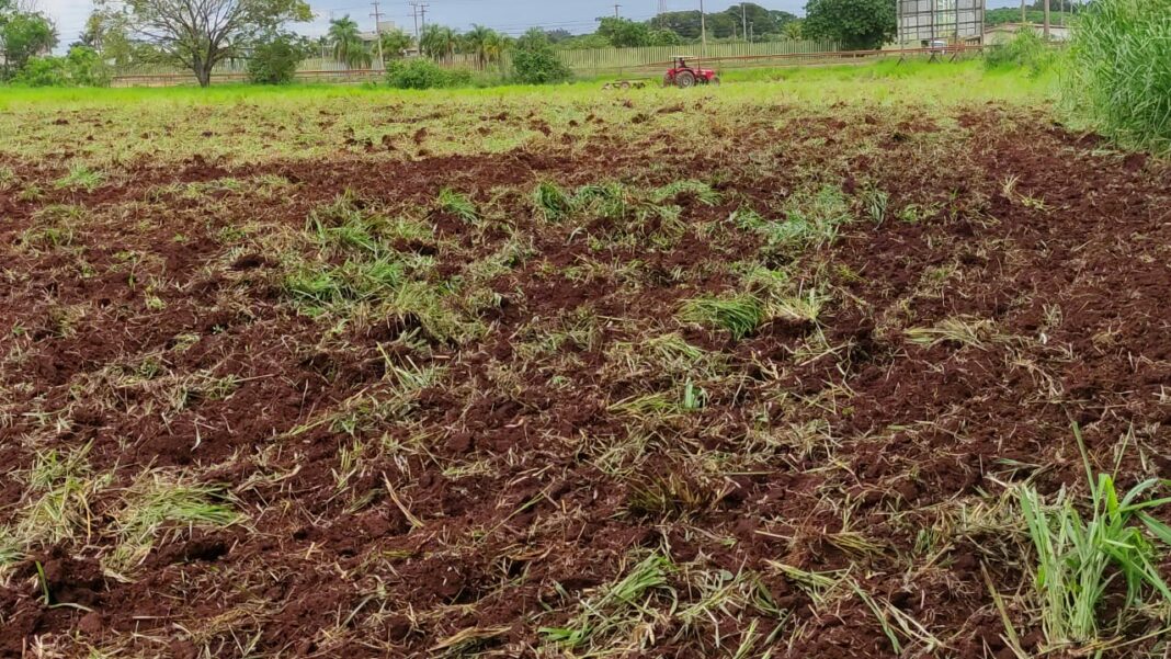 Maquinários da Secretaria Municipal de Agricultura Familiar trabalham no apoio aos produtores. Foto: Semaf.