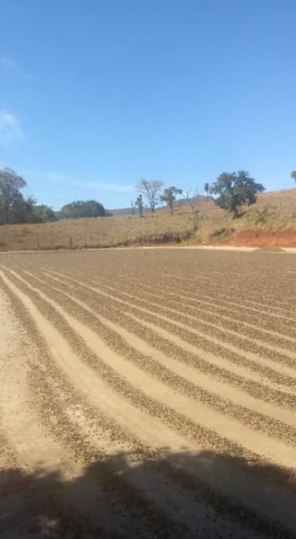 Tempo: Frio toma conta da região Sul e geadas podem ocorrer nos próximos dias no RS, PR e SC