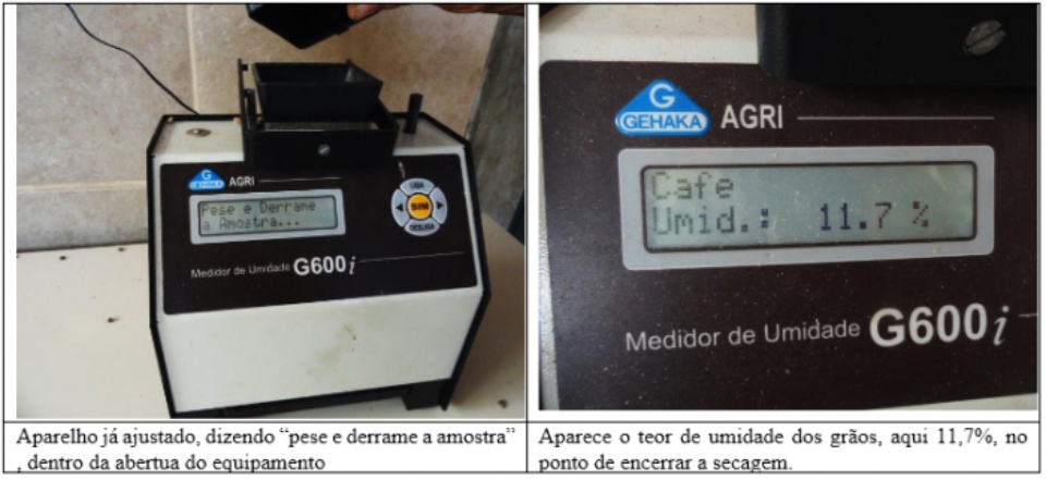 Procafé: Controle da seca e umidade do café é muito importante