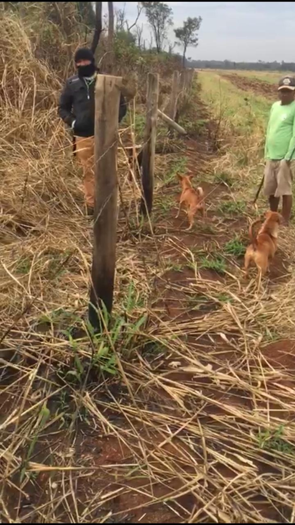 Índios ampliam invasão de áreas urbanas e espalham terror em Dourados