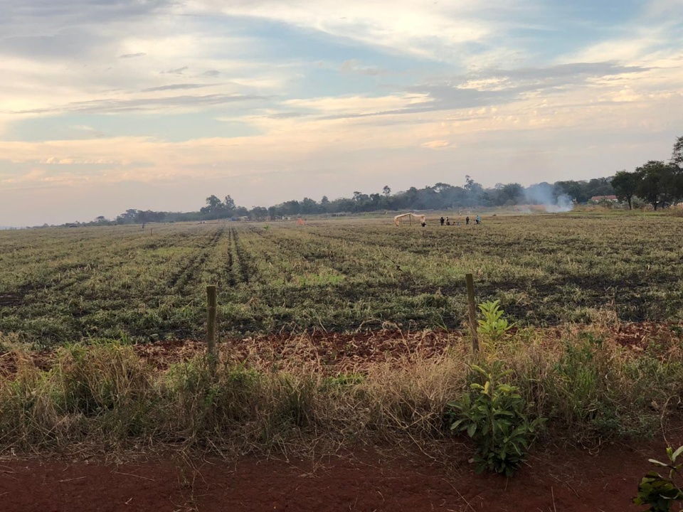 Índios ampliam invasão de áreas urbanas e espalham terror em Dourados