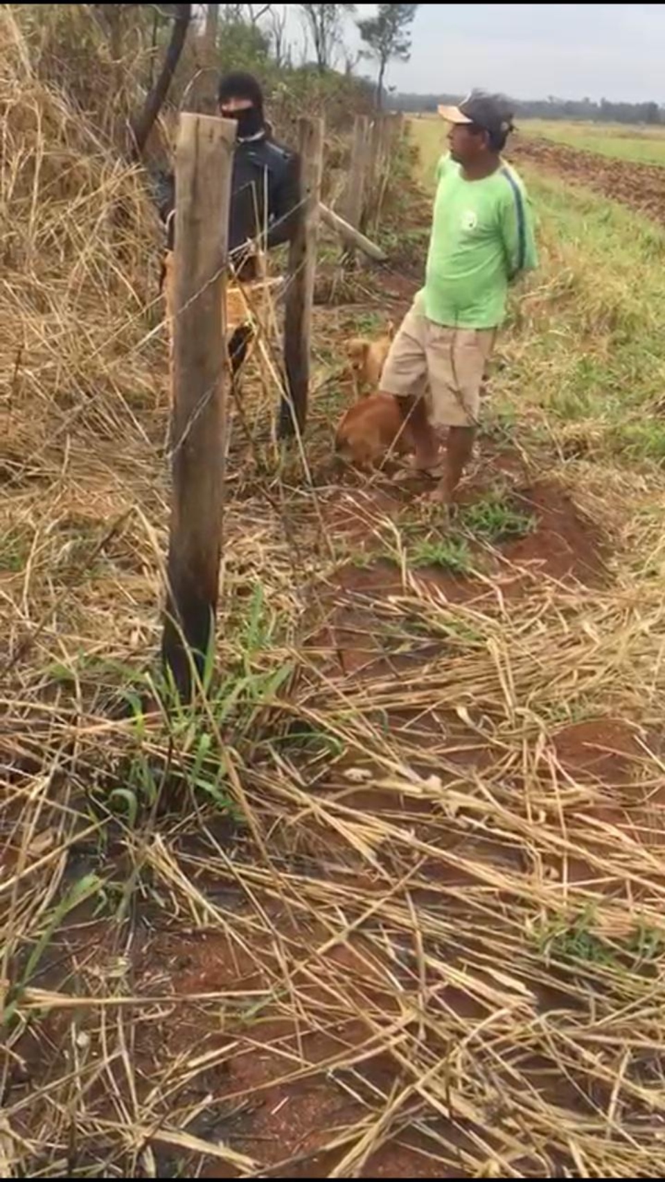 Índios ampliam invasão de áreas urbanas e espalham terror em Dourados