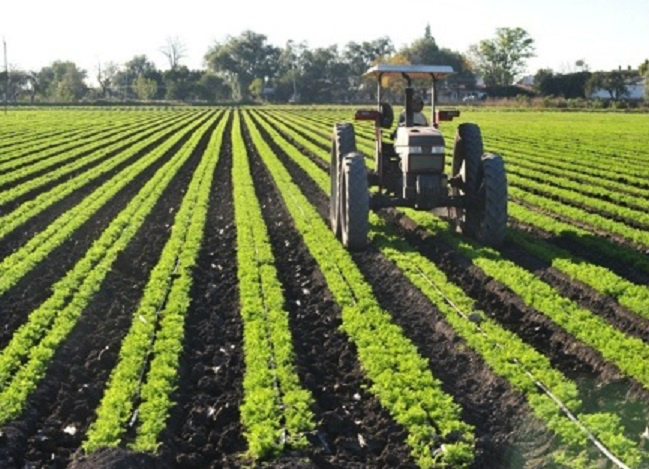 VBP agropecuário registra queda em 2015, diz Mapa