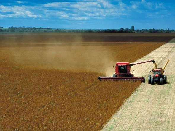 Mapa inaugura câmara temática para discussão da Lei Plurianual Agrícola