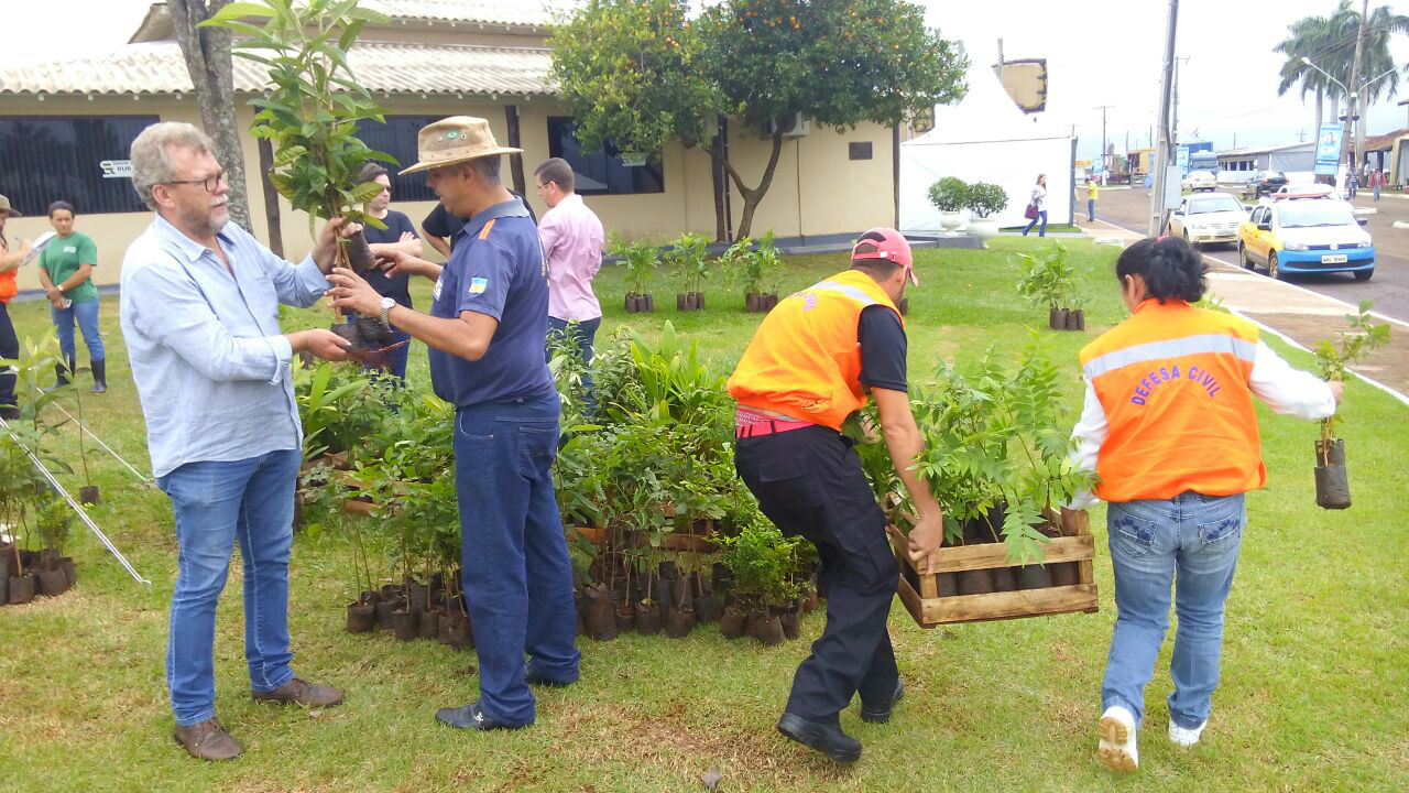 Defesa doa árvores durante a Expoagro e ainda planta no terreno indicado