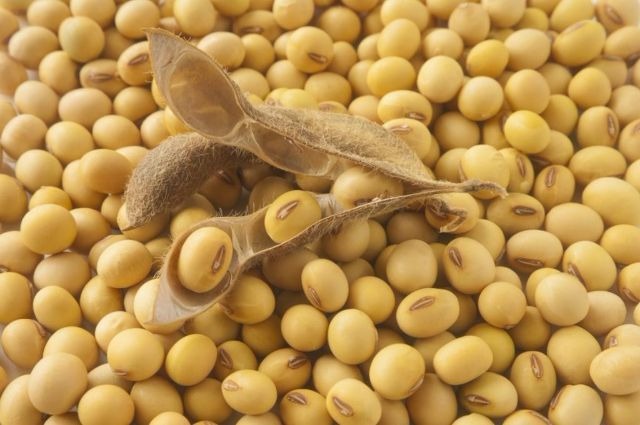 USDA: Mais uma vez, embarques semanais de soja dos EUA superam expectativas USDA: Mais uma vez, embarques semanais de soja dos EUA superam expectativas