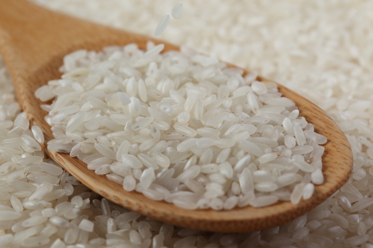 Arroz: Mercado de arroz tem ritmo lento na primeira quinzena de agosto