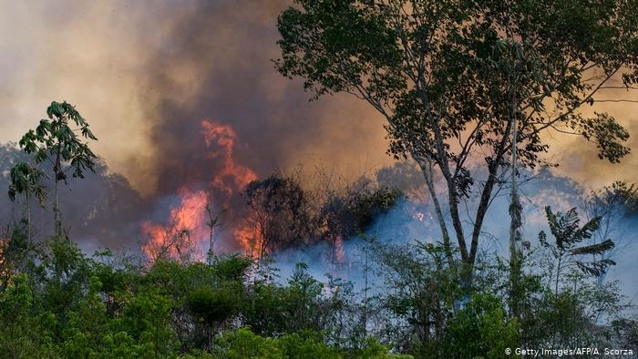 Grupo no WhatsApp contratou motoqueiros e motosserras para desmatar e incendiar a floresta