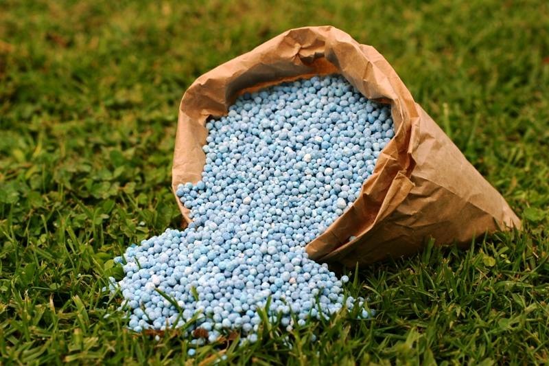 Fertilizantes: excesso de oferta gera oportunidade de compra para agricultor