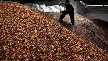 Coronavírus não deve impactar consumo mundial de café e NY encerra próximo da estabilidade