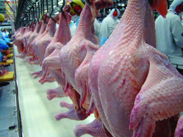 Frango: cotações mistas nesta quarta-feira (17)