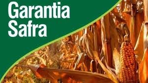 Mais de 197 mil agricultores familiares vão receber benefício do Garantia-Safra de 2019/20